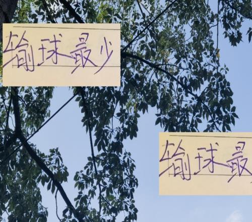 23輪下來！奪冠熱門北京國安只是輸3場申花比他們還多一場