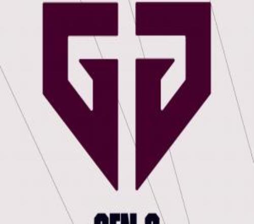 就差LPL了！先锋赛其余赛区队伍全部确认：GEN、BFX、G2、Loud、LYON