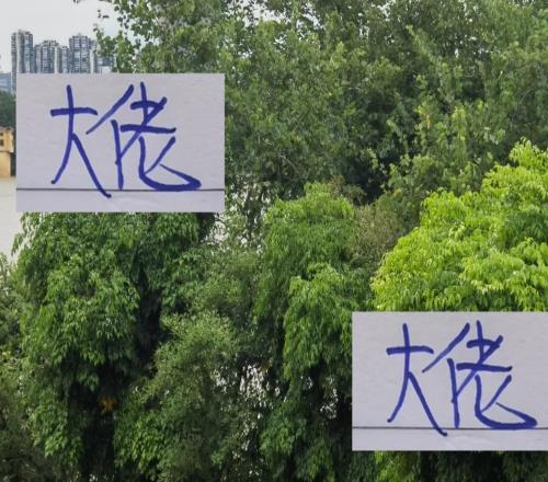 中超积分前5名射手大佬!申花米内罗提前报销也是球队最威慑人