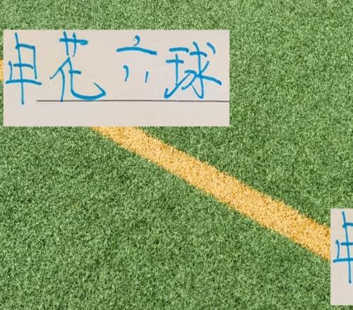 主場(chǎng)進(jìn)六球！會(huì)是申花最大勝利嗎畢竟后面對(duì)手再進(jìn)六球有點(diǎn)難