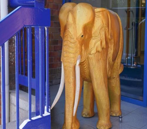 泰晤士报:谢周三计划拍卖球场的标志性金象以筹集资金