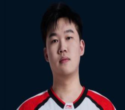 就頂部隊伍幹淨naiyou曾長期效力LDL，輾轉數支涅槃隊仍被期待