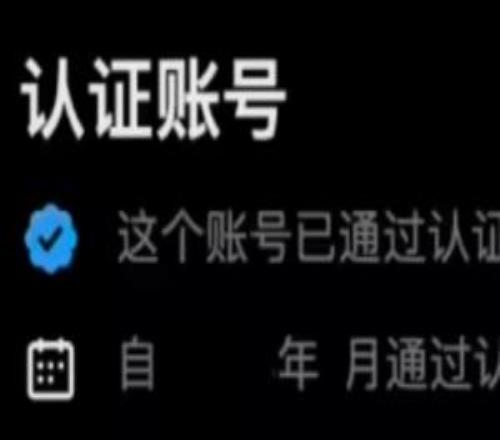 歐盟重罰1.2億歐元！馬斯克旗下X平台“藍標”認證機製將整改