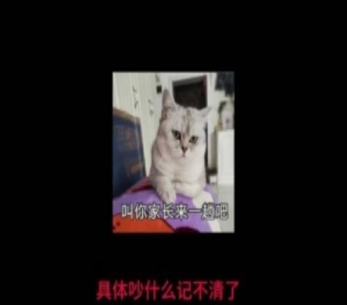 shanji自述職業故事：一個網吧賽，把我送進了電競圈