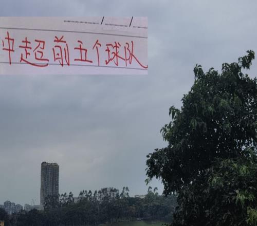 中超前5名各球隊射手大佬！申花的米內羅的含金量還在提升！