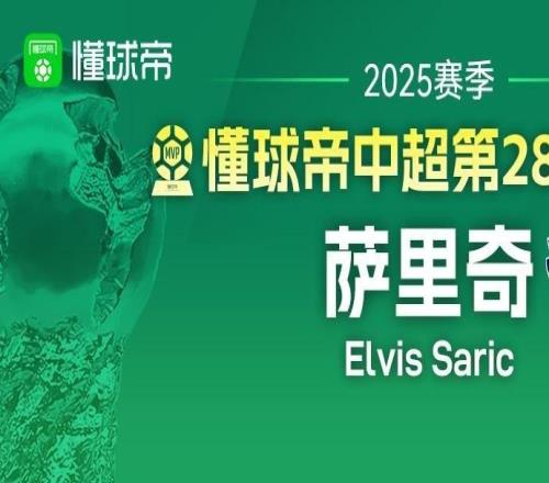 懂球帝2025赛季中超第28轮MVP:萨里奇