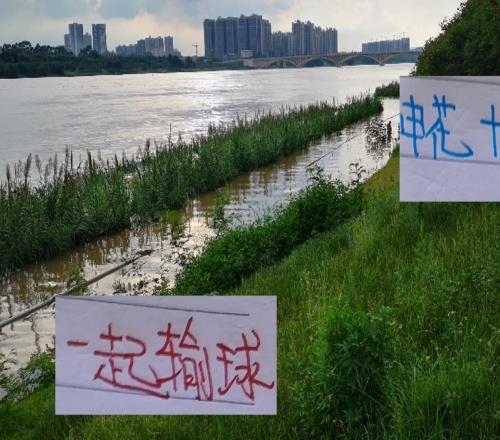 聯賽還剩七輪！申花要逆天改命主場打山東+成都要不輸球才行