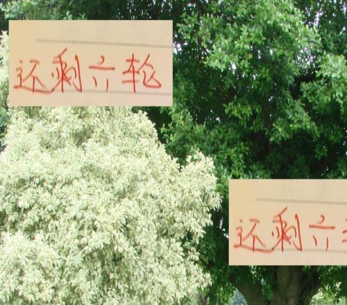 還剩六輪！要是贏不了海港！北京國安就是保級球隊最強判官！