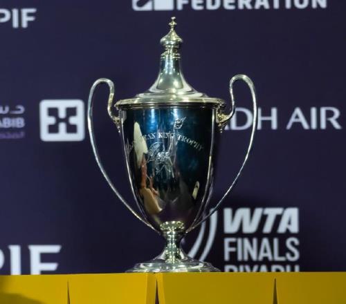 薩巴與萊巴爭5235000美元巨獎,謝淑薇無緣決賽,德約會師穆塞蒂