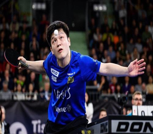 德國杯登頂收獲留洋首冠，樊振東的收獲遠不止贏球