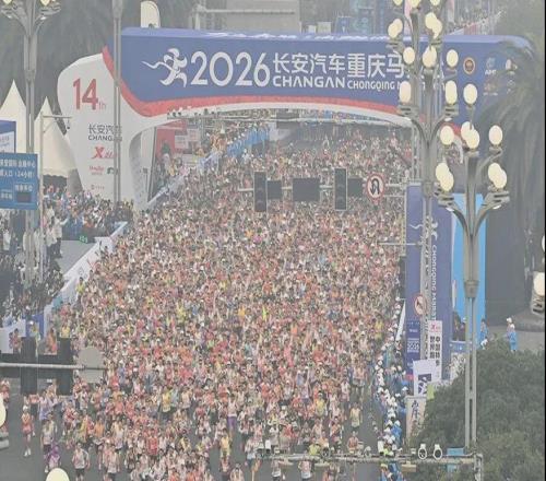 马拉松：为什么很多跑者倒在了终点前