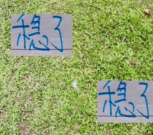 稳了!最后一轮海港+申花的比赛都有央视直播你选择看哪场