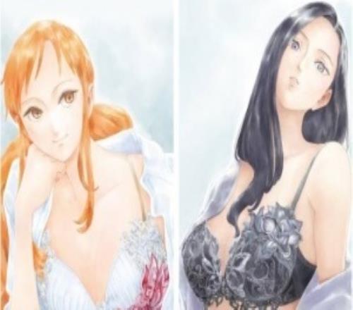 日本内衣品牌联动《海贼王》外传：娜美与罗宾新造型惊艳亮相