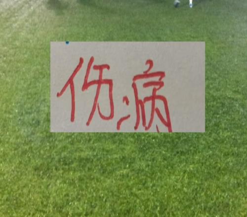 申花间歇期重要不是7球员不在而是6主力赶紧康复