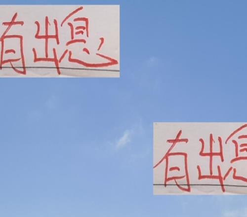 有出息了!2025赛季海港的上座率跟申花上座率平起平坐了