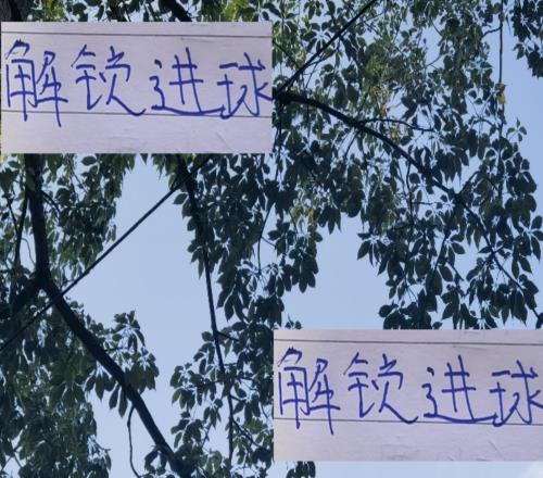 解鎖中超三種進(jìn)球姿勢！河南有頭球王天津西班牙有左腳大佬