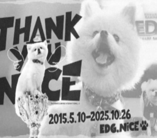 EDG官宣队宠Nice“退役”:最可爱的宝贝正式启程前往下一站汪星