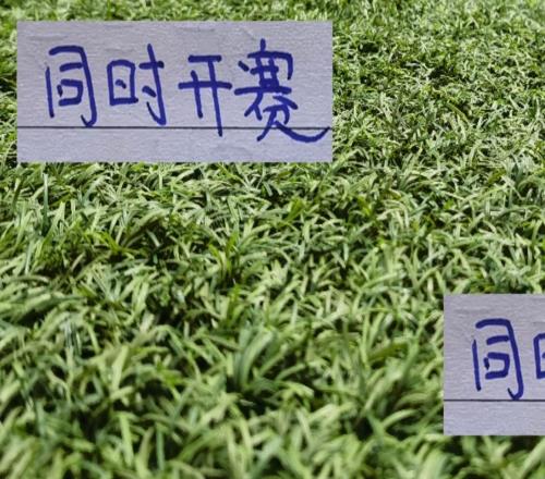 申花不用擔心海港先出場！最後一輪同時開賽二弟就別抱怨大哥