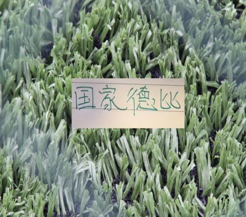 北京国安和申花算不算中超国家德比毕竟30多年联赛冠军累计2次