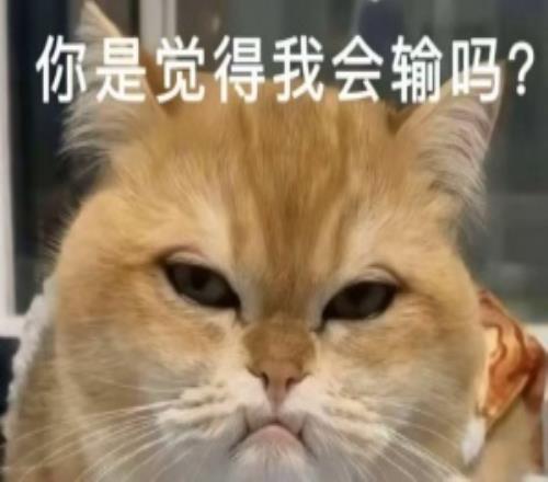 跟經理對噴了爆料人談Bin疑似離隊：好像很僵硬不是領隊教練選手