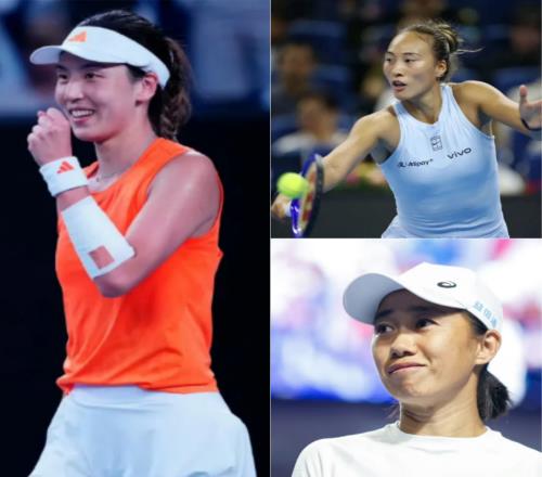 鄭欽文挑戰(zhàn)萊巴金娜失敗新計劃曝光，網(wǎng)友：金花告別多哈離歌不悲