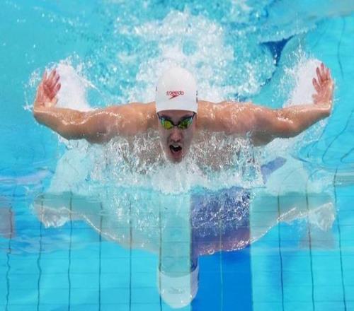 張展碩成就十五運會“五金王”，汪順收獲個人全運會第19金