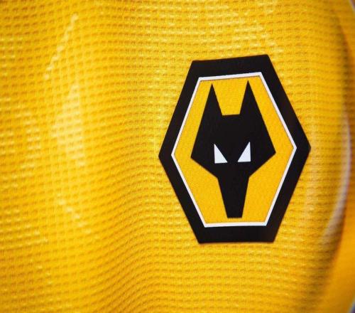 丟點後被種族歧視，狼隊官方發聲明支持阿羅科達雷