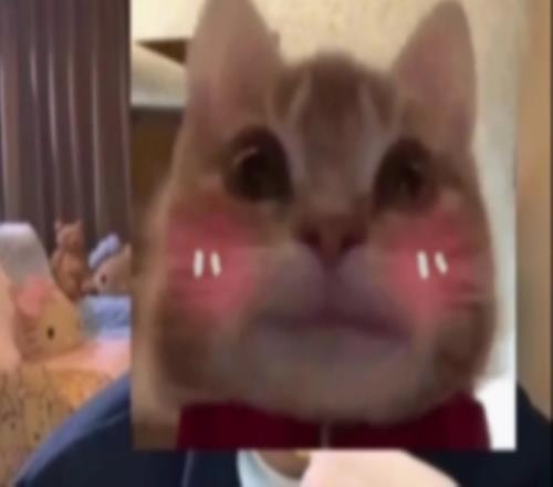 涵藝：iG經(jīng)理沒經(jīng)驗第一次搞這種轉(zhuǎn)會期，換蘇小落Elk不可能到WBG