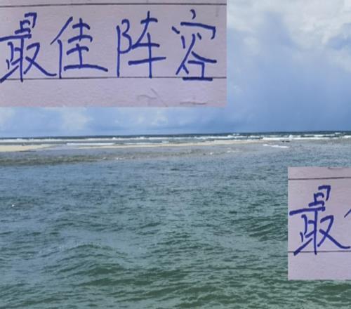 不合理呀！8月最佳陣容海港一個球員都沒進他們可是中超老二