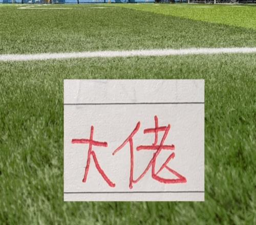 还真的是屈指可数!中超国字号外援申花特谢拉入选葡萄牙国青