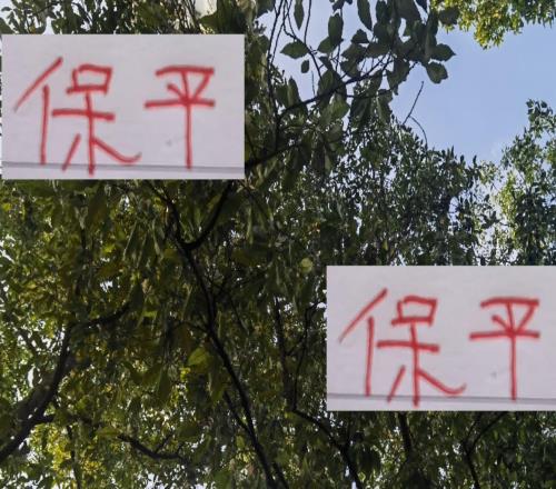 保平就能夺冠!但海港肯定还是会争胜一年赢19场不是吹的