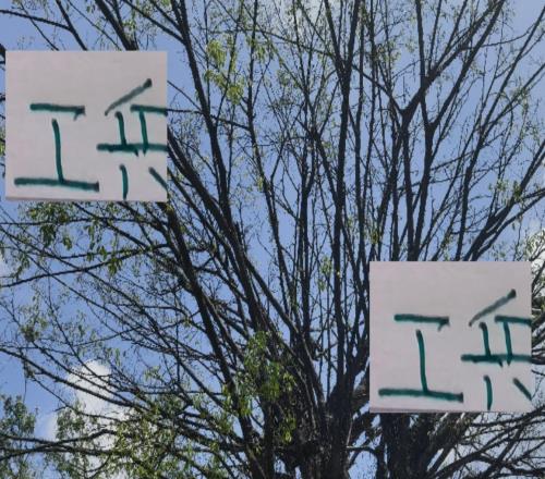 有意思!海港+成都+北京国安工兵中场今年合同全部到期