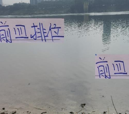 前四排位!申花比海港还稳定从来没有跌过第四名!