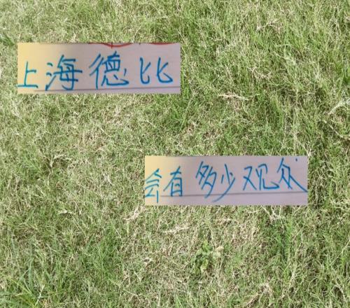 上海德比申花主場會有多少觀眾畢竟今年也是奪冠最好時候
