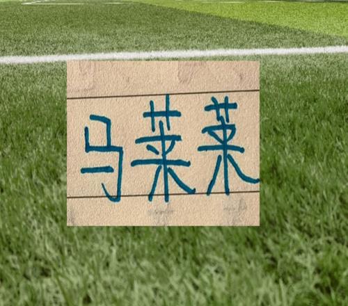 前申花外援就是香!馬萊萊成為大連殺手