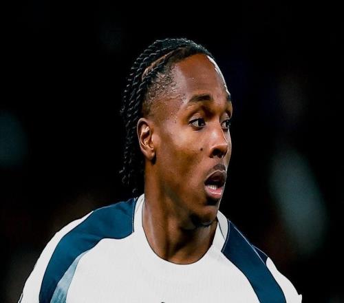 官方:马蒂斯特尔取代索兰克入选热刺欧冠参赛名单