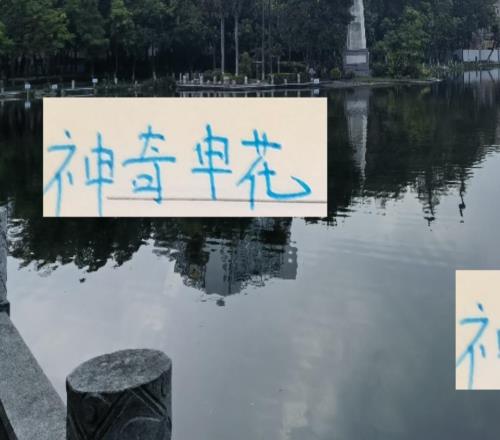 神奇申花！沒有一個人進球雙位數但他們進攻僅次于67球海港