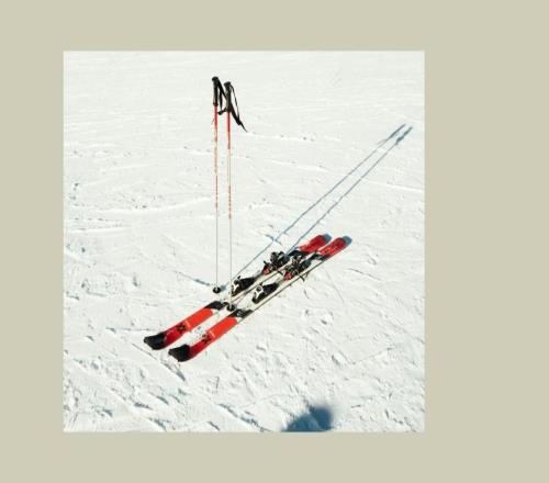 《大西洋月刊》丨加州最惨烈雪崩背后的致命抉择