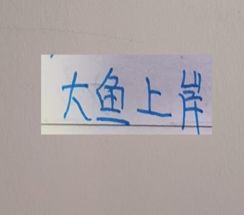 还以为上海双雄外援身价是最高的,没想到升班马比他们还猛