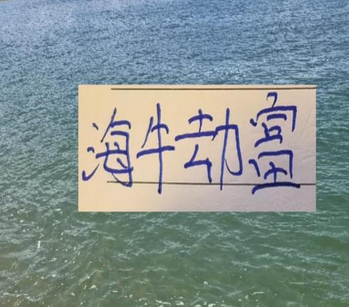 海牛劫富濟貧！接連在山東成都北京國安拿到分數(shù)李太守可不吹