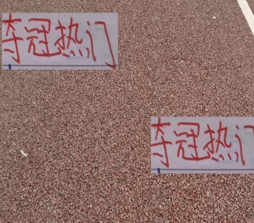 奪冠熱門前二名！海港跟成都本輪有CCTV直播加持下還能凱旋嗎