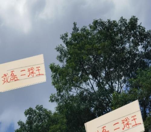 從乙級聯(lián)賽一路打到頂級強(qiáng)隊(duì)武磊不愧是海港的一期大師兄