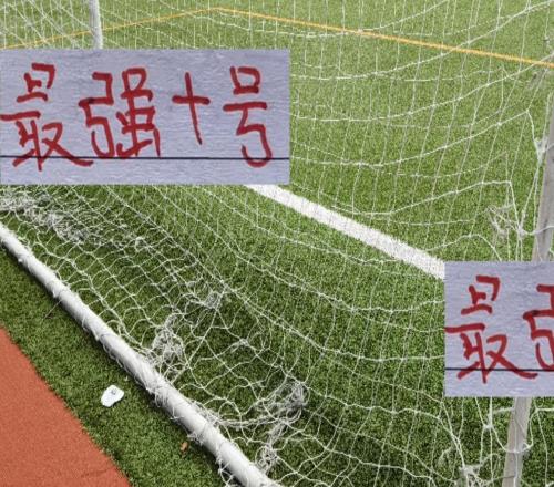 最強的10號！在中超還是巴西外援靠譜從海港維塔爾河南的納薩