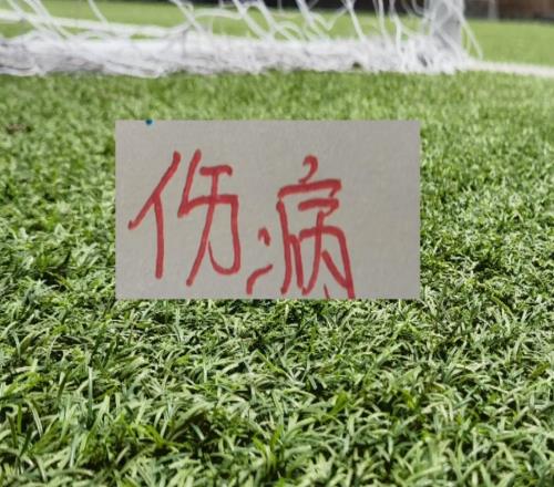 庆幸!北京国安+申花阵容厚度够肥能玩得自损500伤敌1000打法