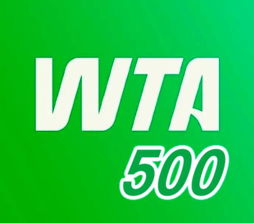 張帥重返500賽四強(qiáng)，袁悅不敵美國人，梅總橫掃FAA與荷一哥爭冠