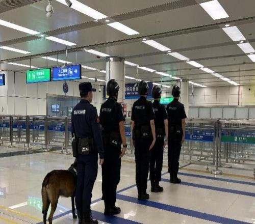 历史首次深港跨境马拉松将开赛，揭秘运动员如何丝滑通关