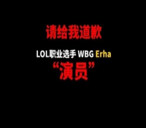 B站up怒噴WBG.erha排位擺爛：請不要讓這種選手來侮辱職業(yè)賽場！
