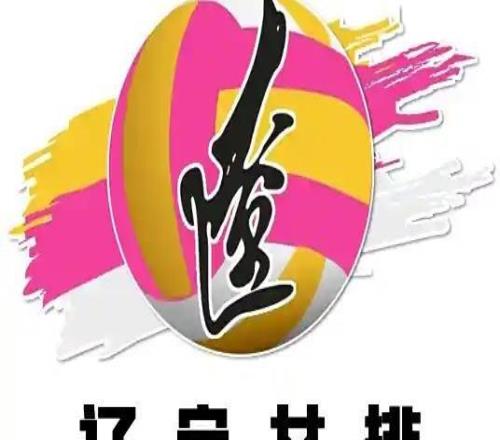 遼寧女排翻譯曝球隊(duì)欠薪半年，隊(duì)員們一點(diǎn)保障都沒有