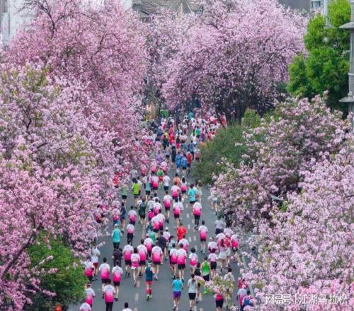 難得這樣破圈!柳州馬拉鬆後勁真大