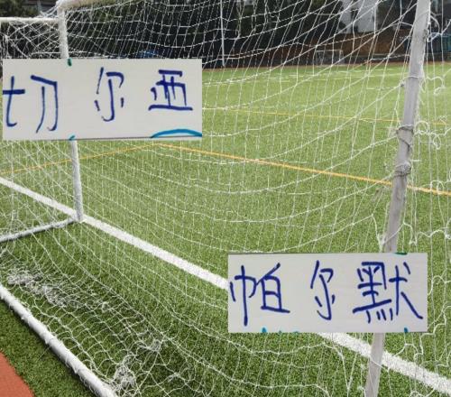 沒見過海港奧斯卡在切爾西踢球但我見過23歲的帕爾默在藍軍進球